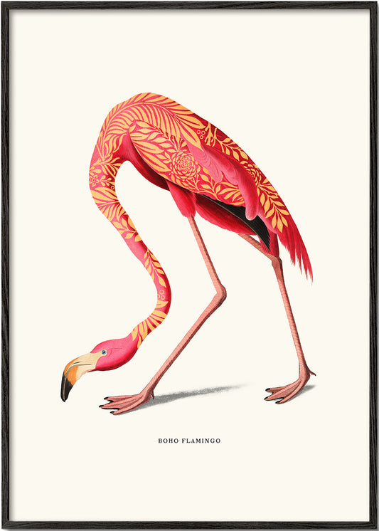 Boho flamingo