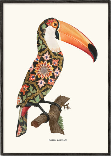 Boho toucan