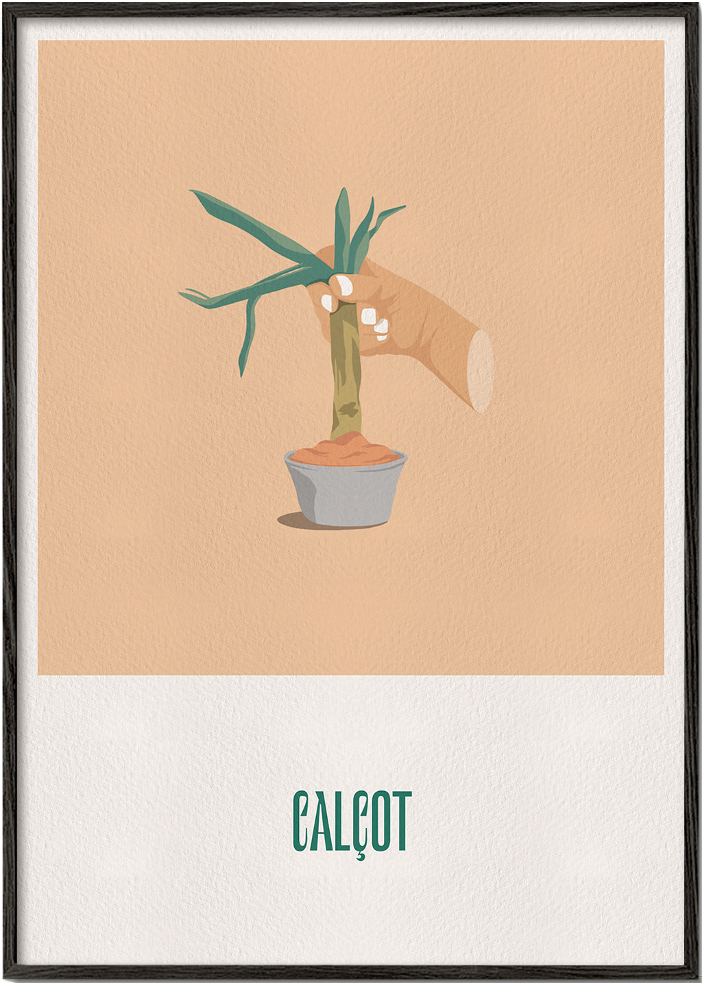 Calçot