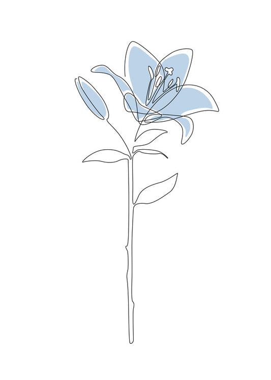 Blue Lily