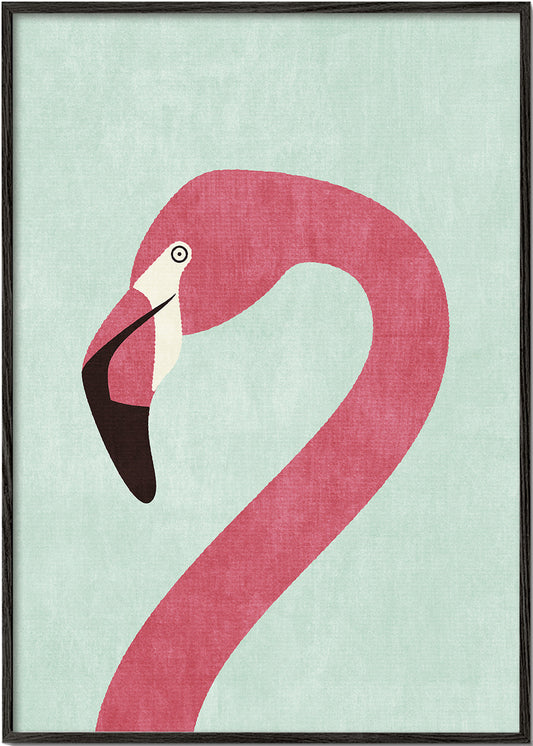 FAUNA / Flamingo