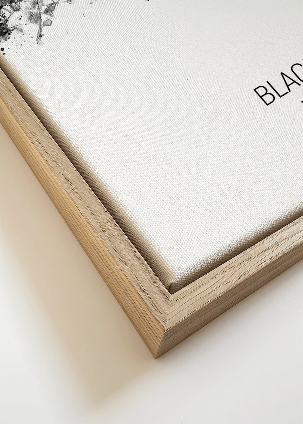 Blackpool Skyline black and white