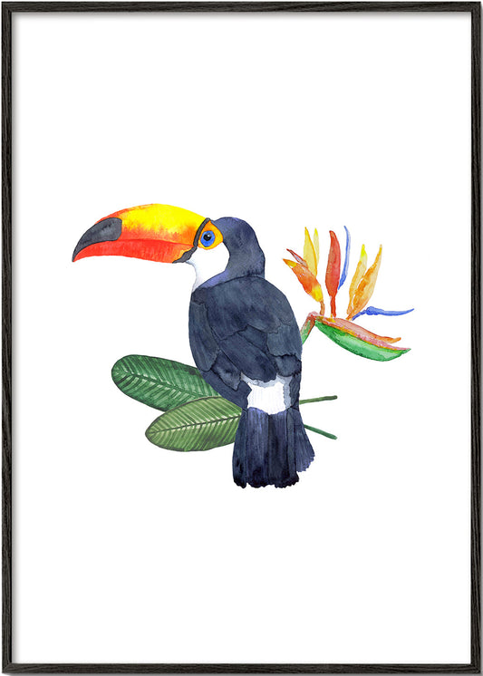 Tropical Toucan Bird