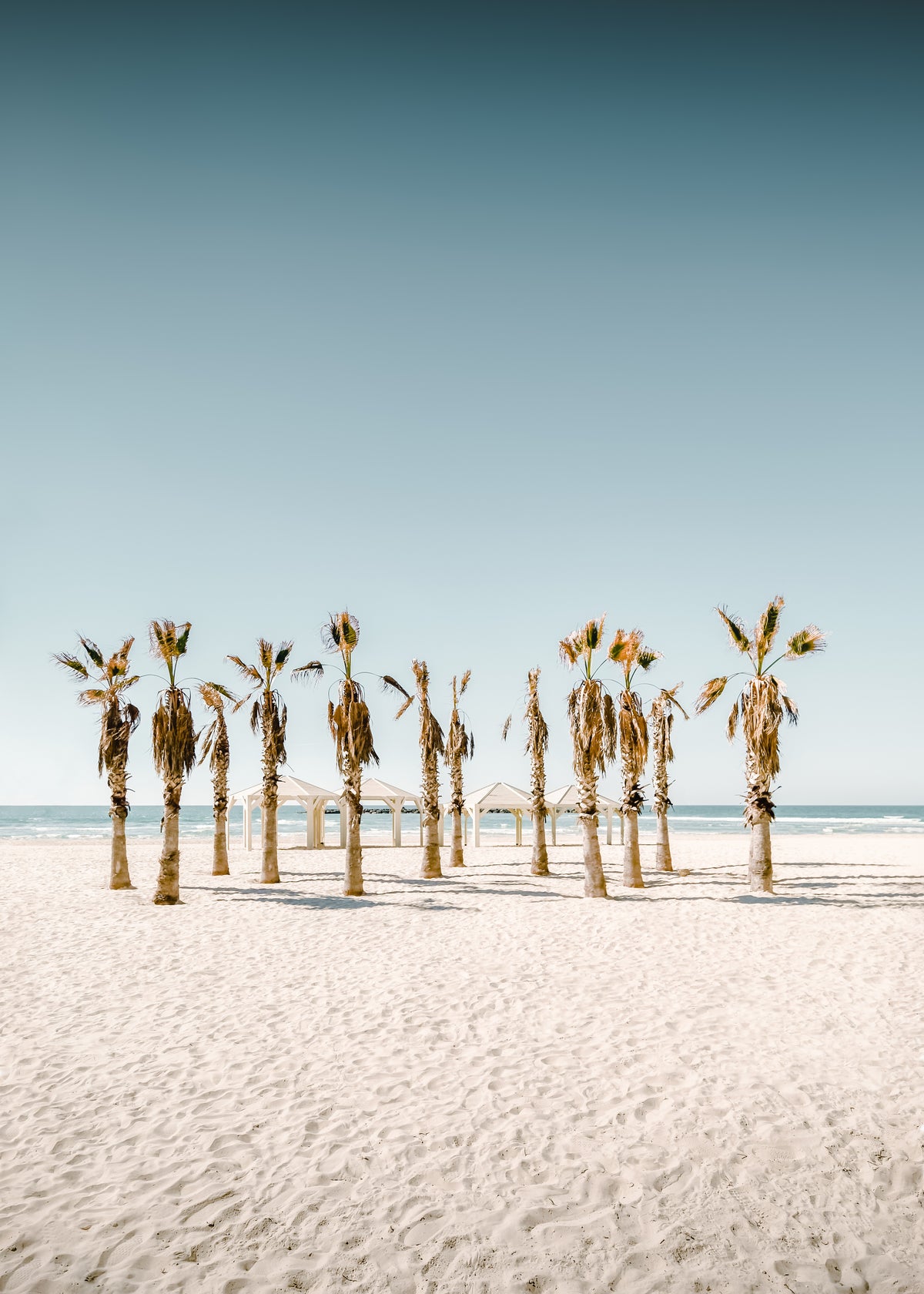 12 by the Ocean - Unframed art print