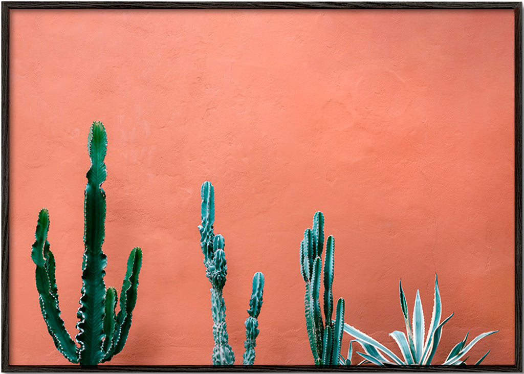 Botanical print of cacti on terracotta wall – Black Frame