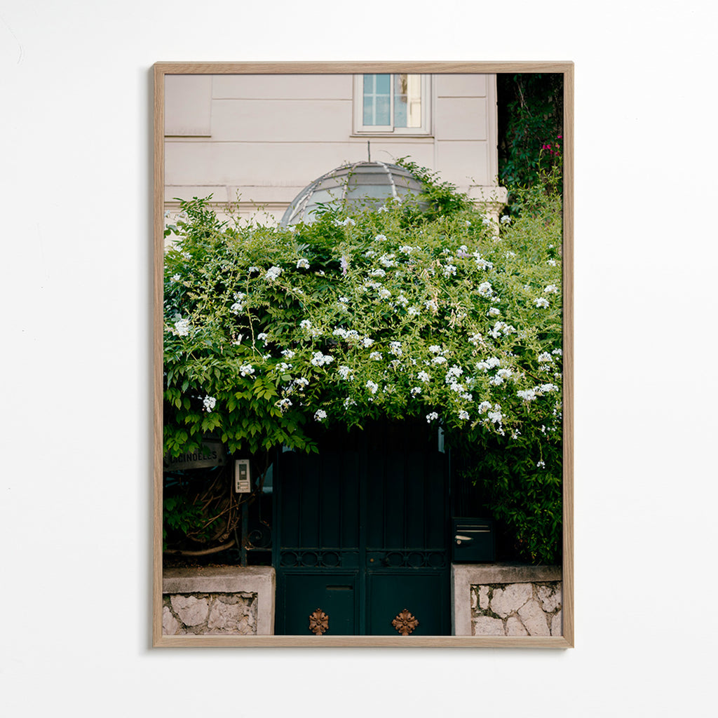Botanical print with trailing white vine – Oak Frame
