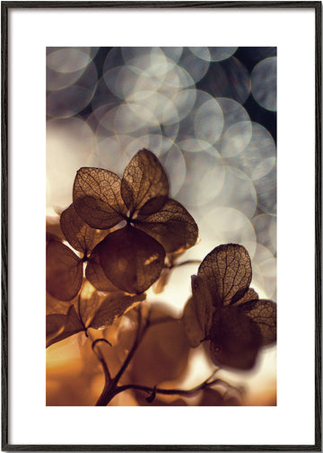 Beauty nature - Dimitar Lazarov -