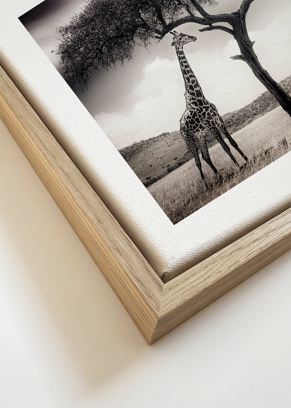 under the African sun - Piet Flour