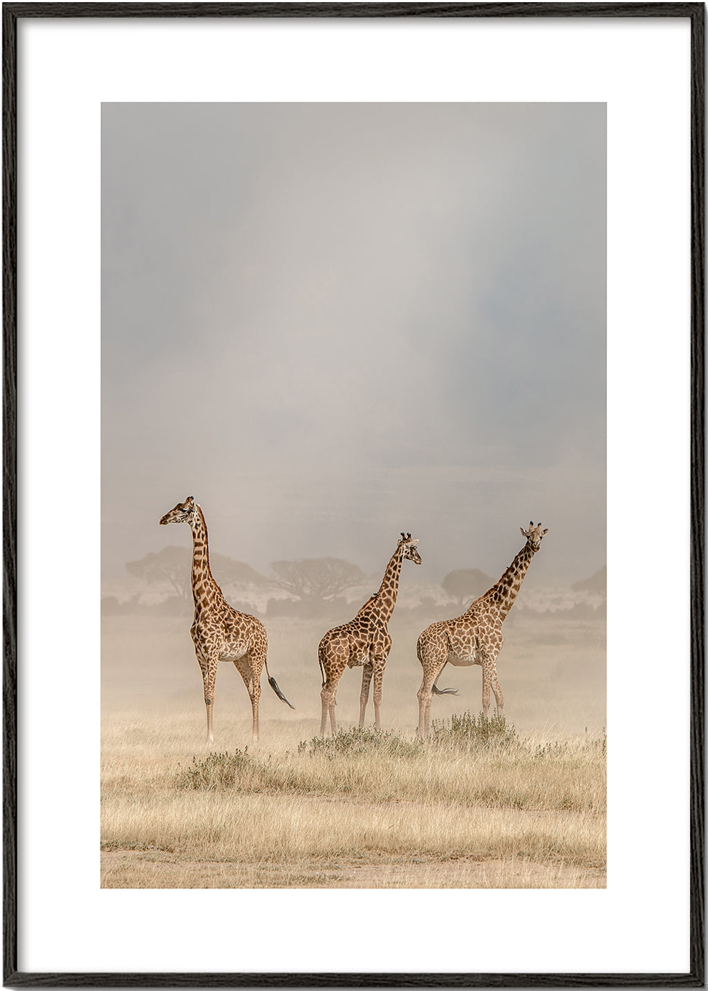 Weathering the Amboseli Dust Devils - Jeffrey C. Sink