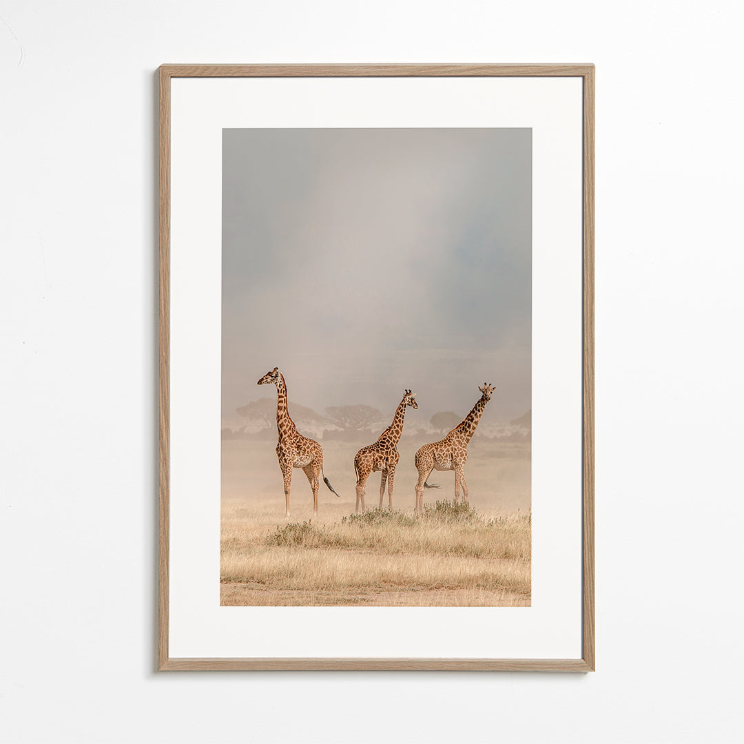 Weathering the Amboseli Dust Devils - Jeffrey C. Sink