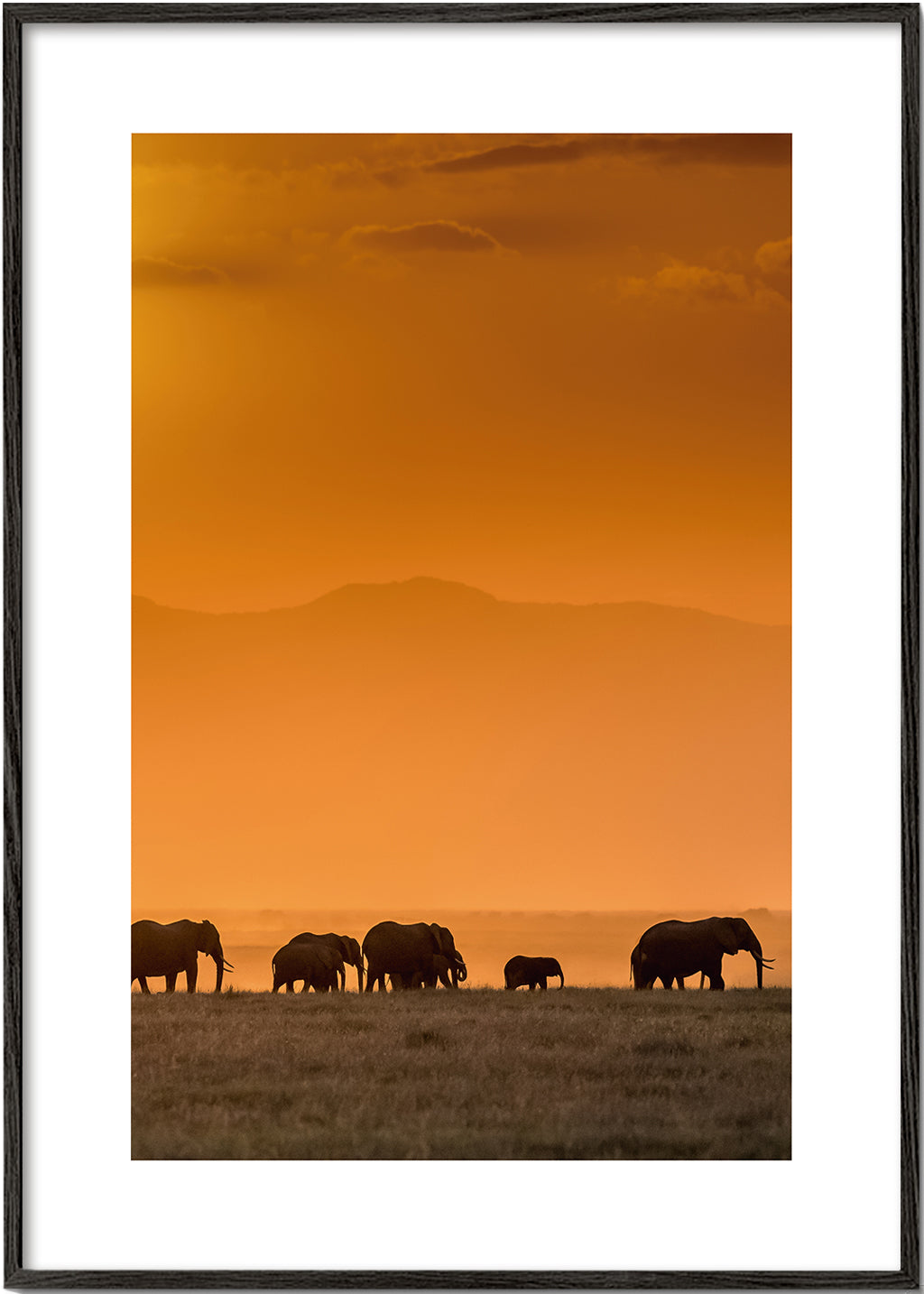 Sunrise over Amboseli - Jeffrey C. Sink