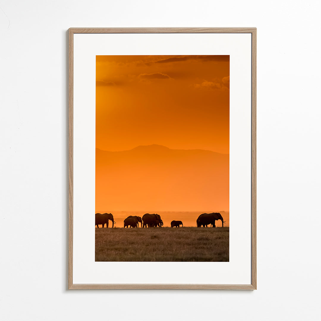 Sunrise over Amboseli - Jeffrey C. Sink