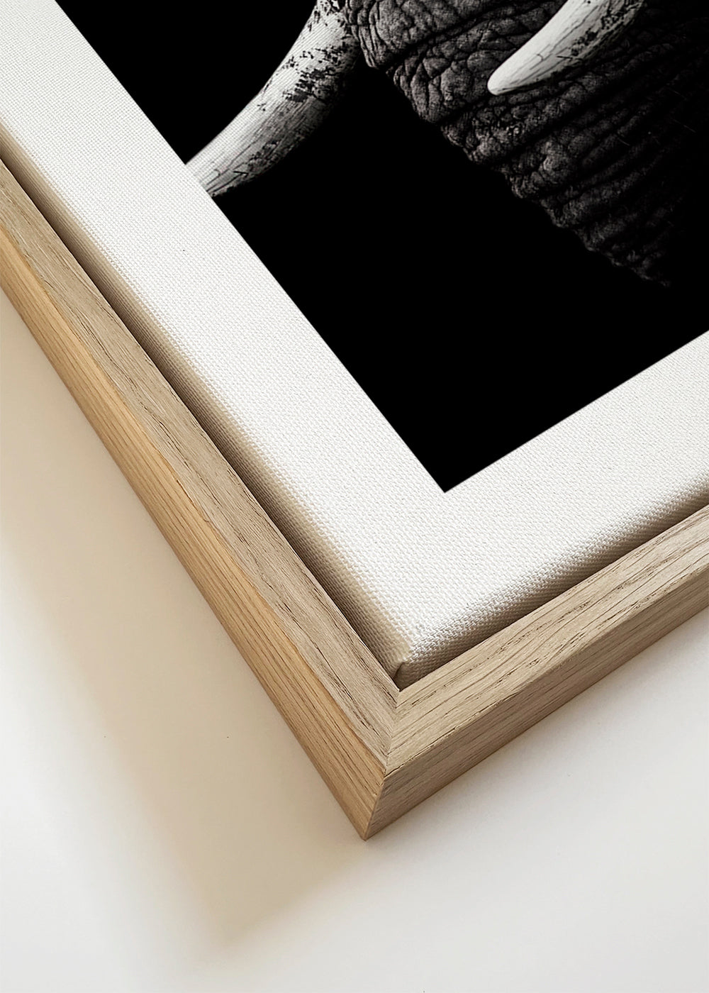 Portrait - WildPhotoArt