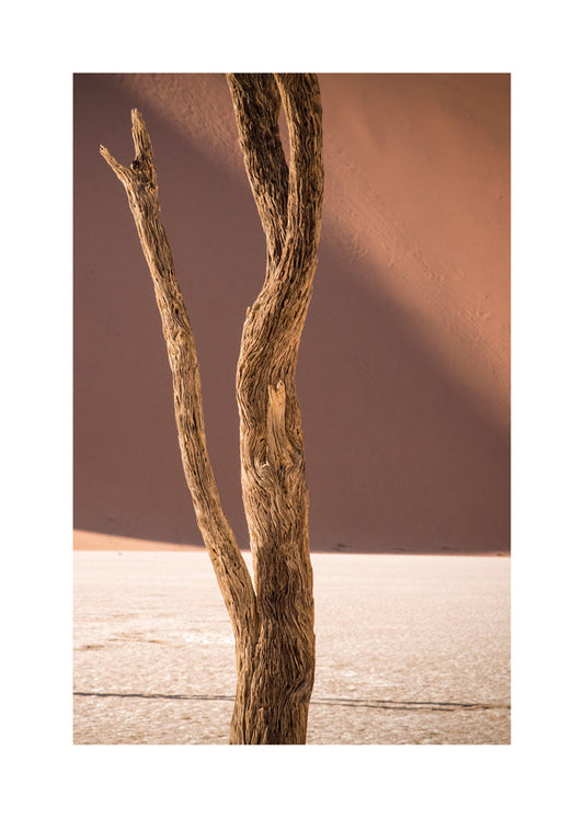 Time textures - Linda Wride