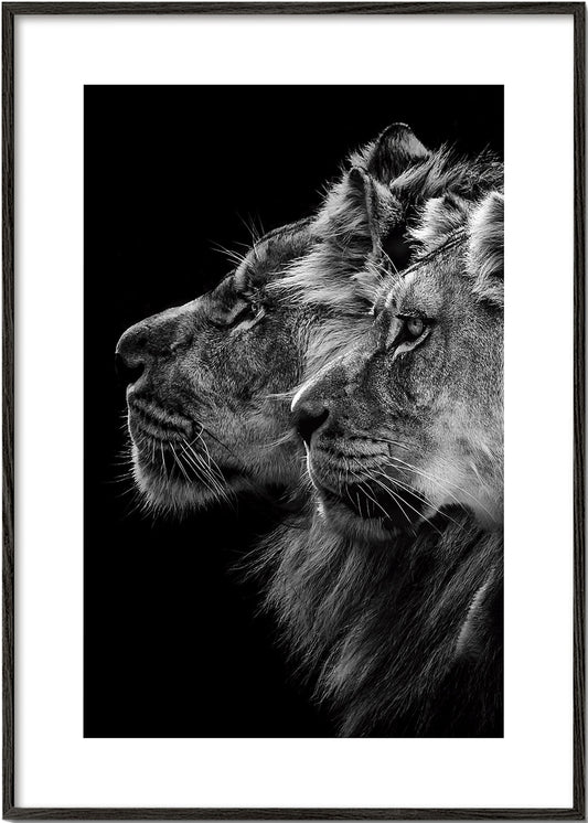 Lion and  lioness portrait - Laurent Lothare Dambreville