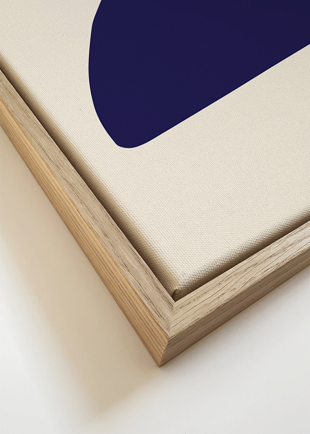 Organic Shapes 08 - 1x Studio