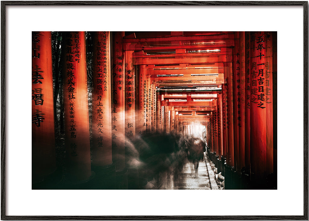 Fushimi Inari Shrine - Carmine Chiriaco