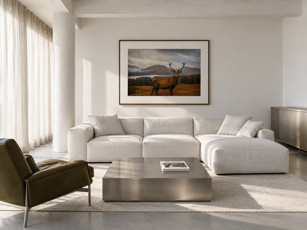 Scottish Stag - Framed canvas in an interior