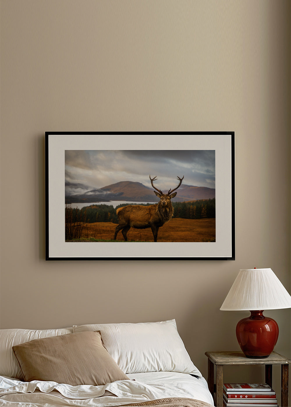 Scottish Stag - Adrian Popan