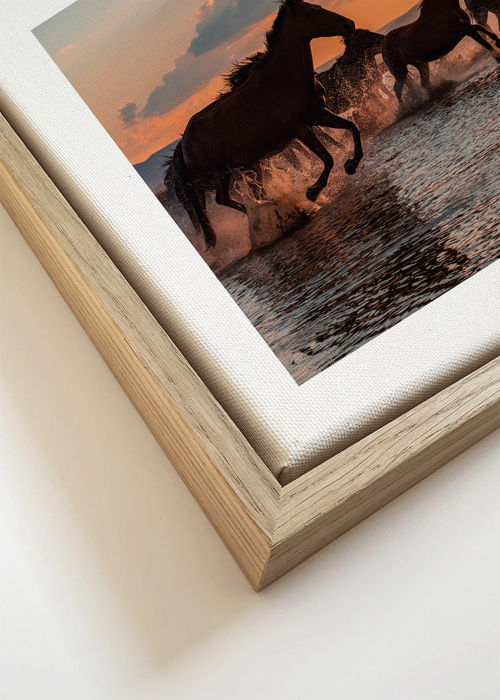 WATER HORSES - BARKAN TEKDOGAN