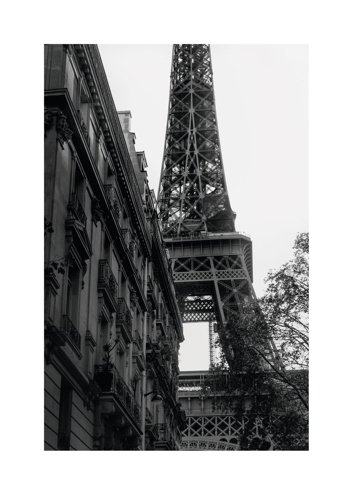 Eiffel Tower III - Unframed art print