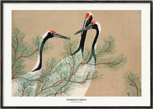 Cranes From Momoyogusa - Pictufy