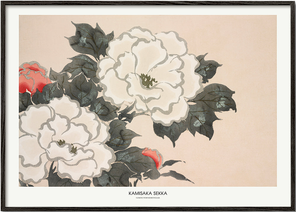 Flowers From Momoyogusa - Pictufy