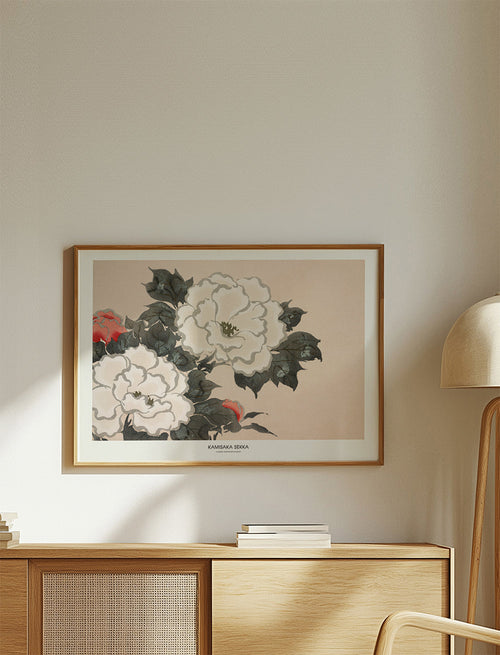 Flowers From Momoyogusa - Pictufy