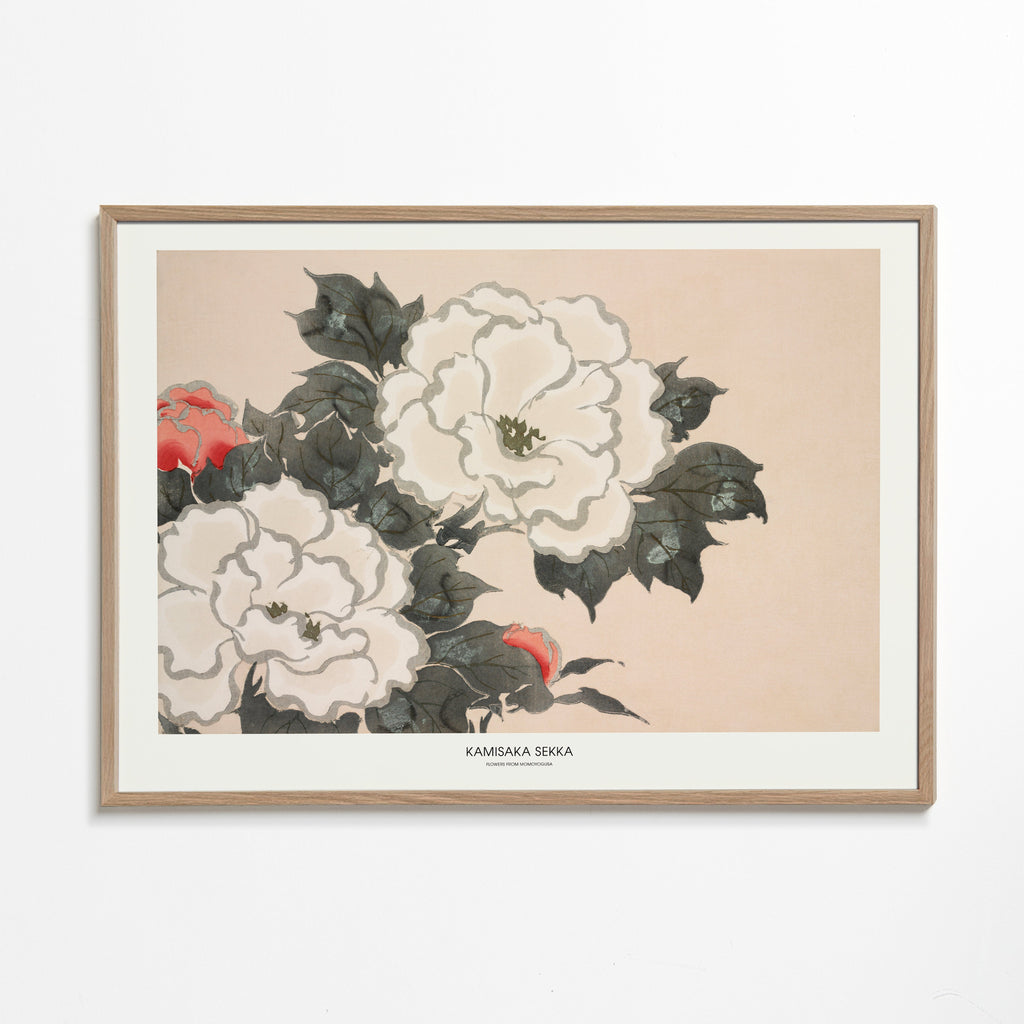 Flowers From Momoyogusa - Pictufy