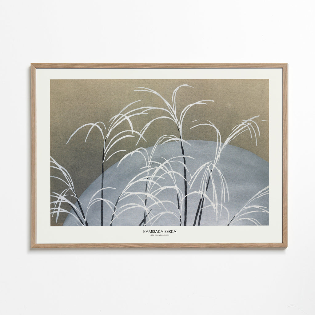 Frost From Momoyogusa - Pictufy