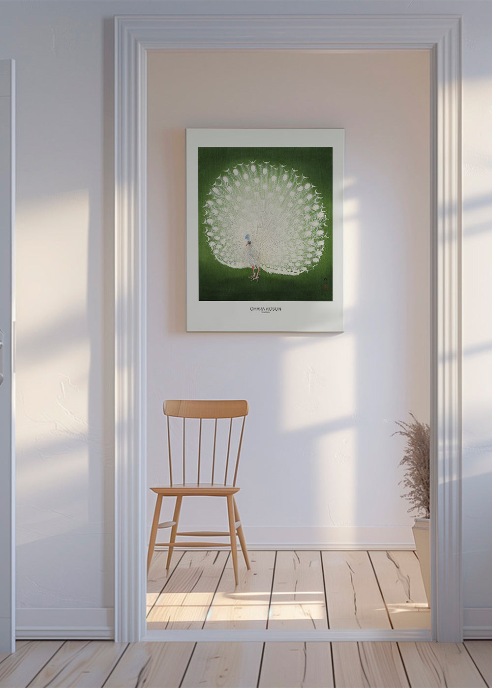 Peacock - Wide - Pictufy