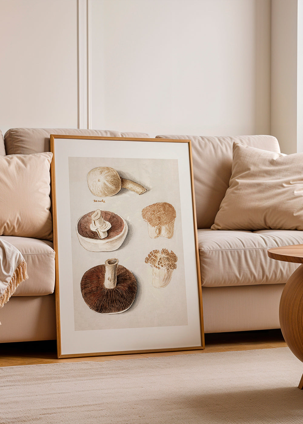 Common Meadow Mushroom, Agaricus Campestris Standing - Pictufy