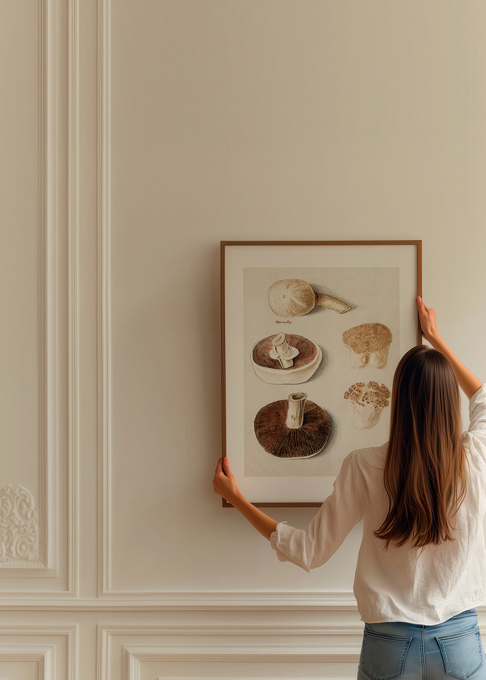 Common Meadow Mushroom, Agaricus Campestris Standing - Pictufy