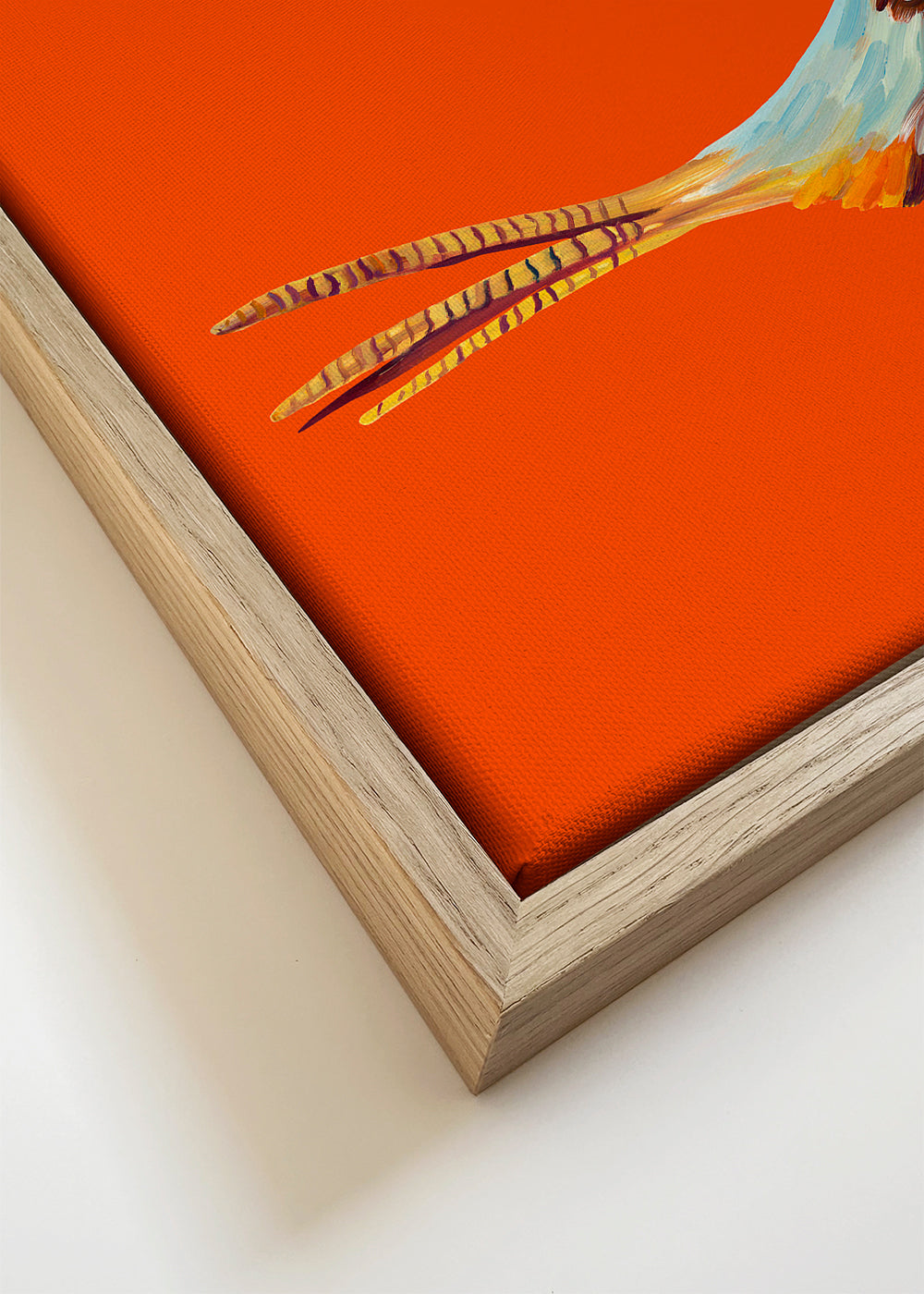 Strutting Pheasant On Orange - Alice Straker