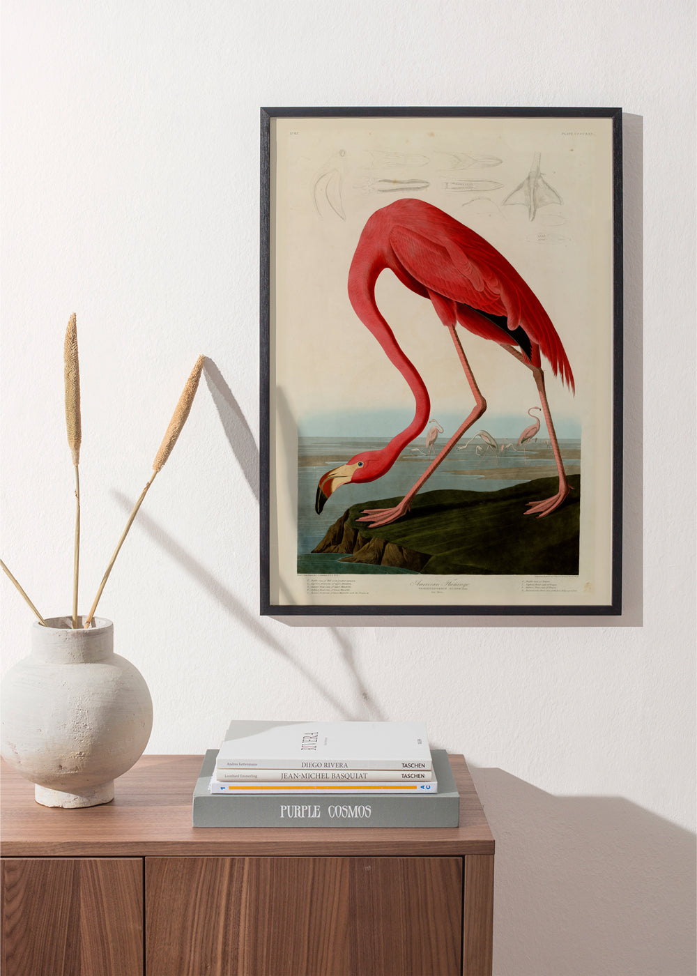 Audubon American Flamingo - The Birds of America