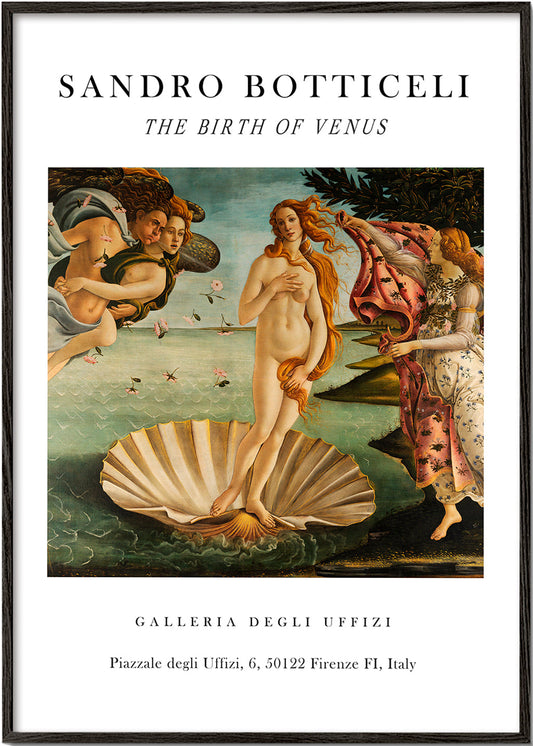 La Nascita di Venere Exhibition White - Sandro Botticelli
