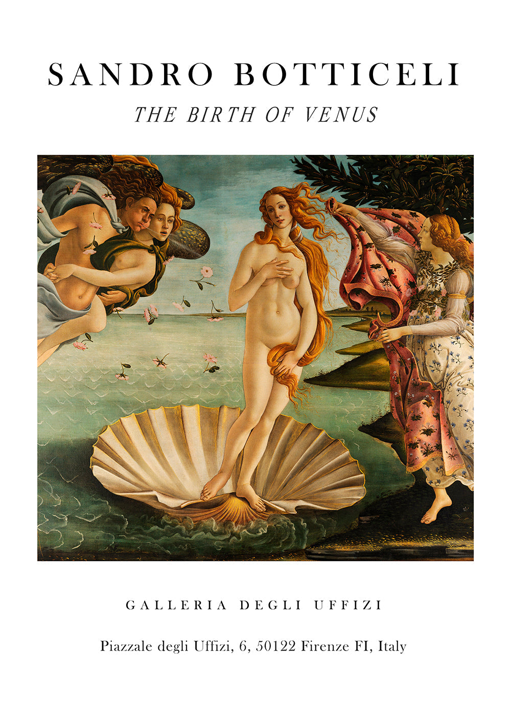 Classic Birth of Venus print by Botticelli | Wall art, framed