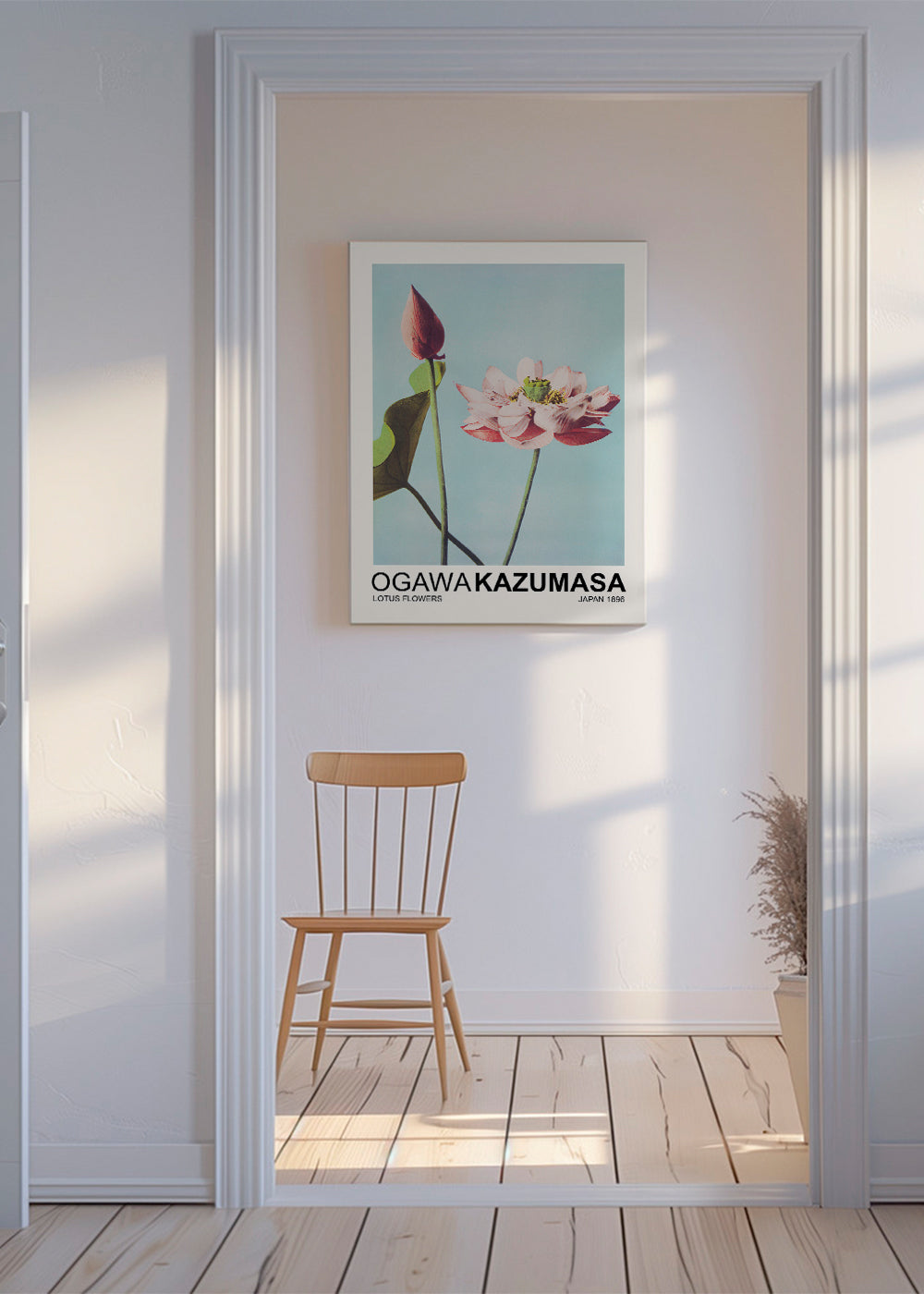 Lotus Flowers (Special Edition) - Ogawa Kazumasa