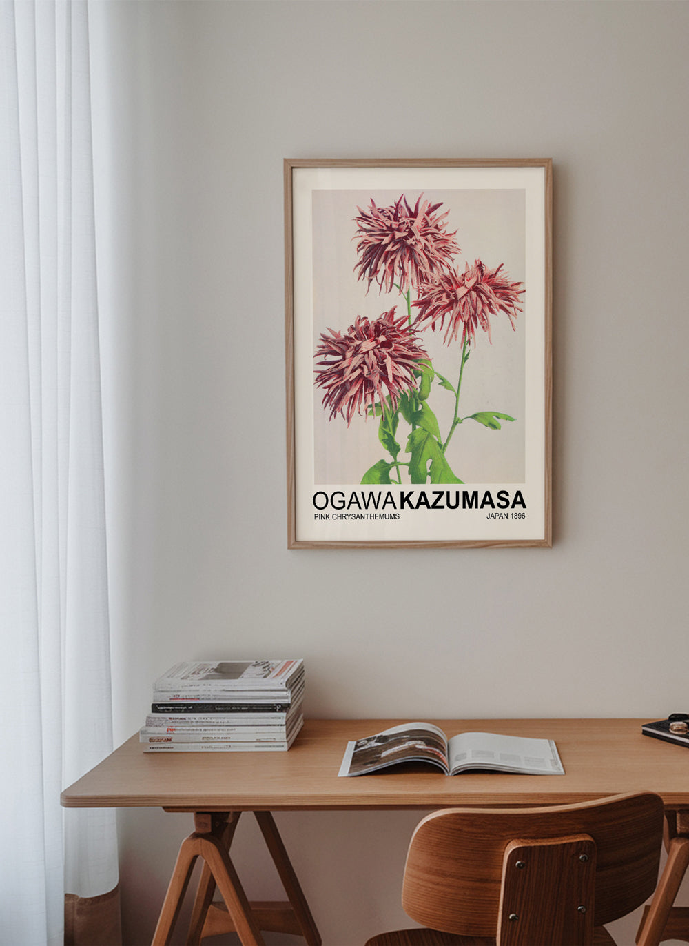 Pink Chrysanthemums (Special Edition) - Ogawa Kazumasa