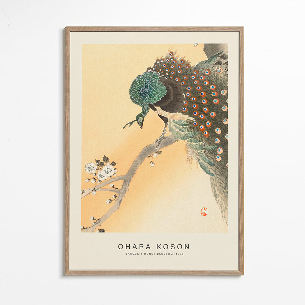 Peacock & Honey Blossom (Special Edition) - Ohara Koson