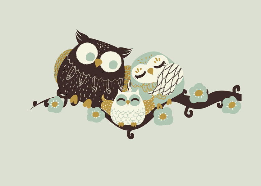 Owl Family