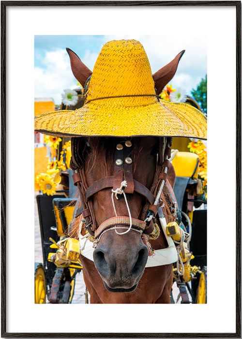 Horse portrait with yellow hat – Black Frame