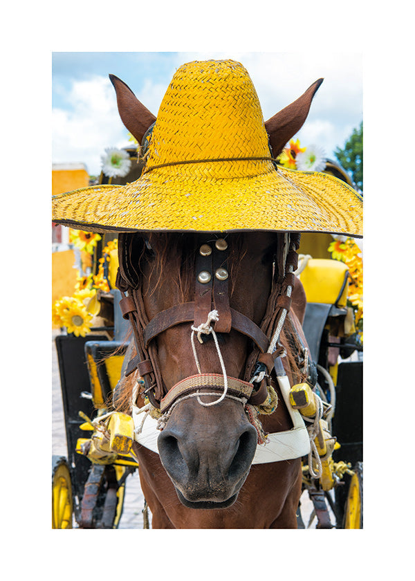 Horse portrait with yellow hat