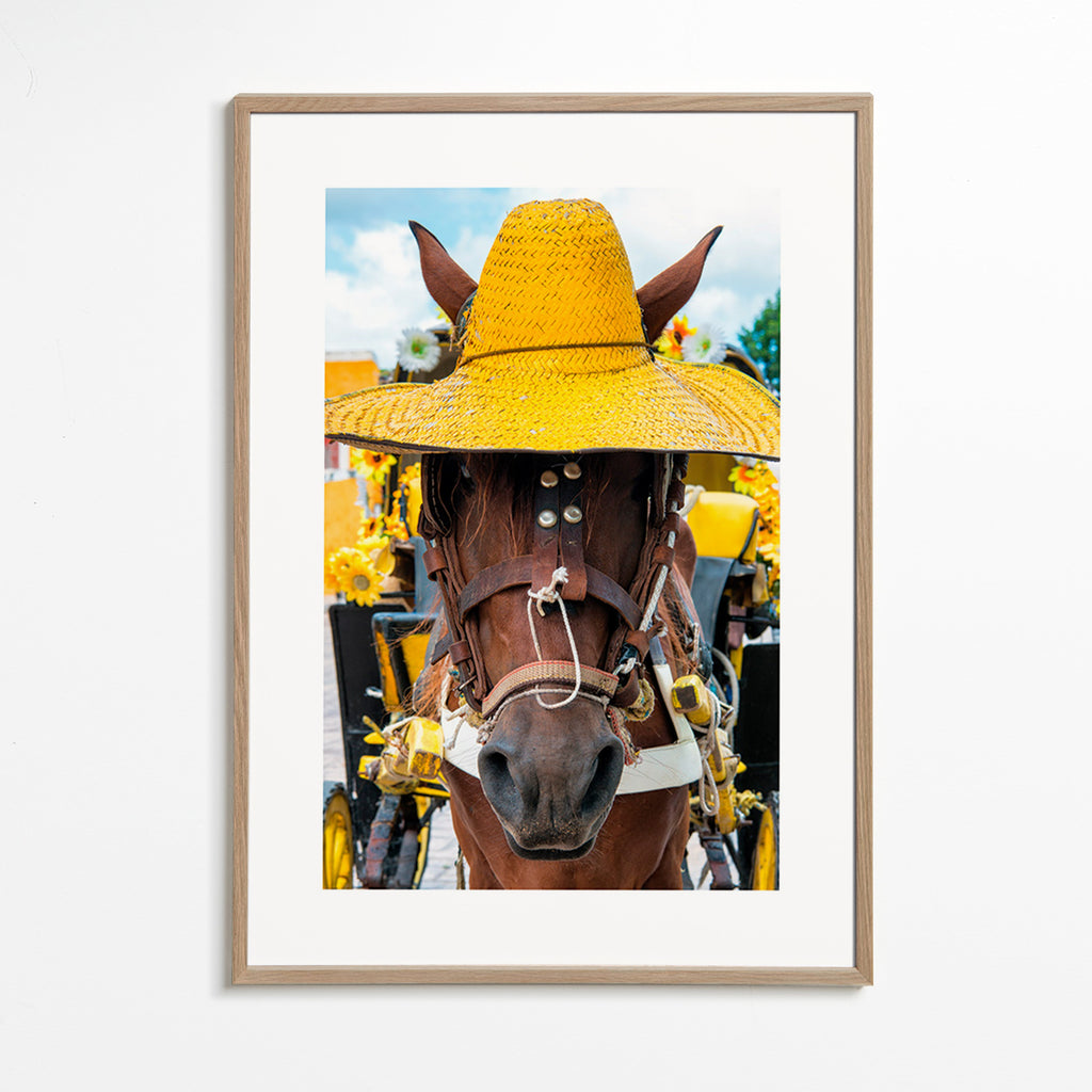 Horse portrait with yellow hat – Oak Frame