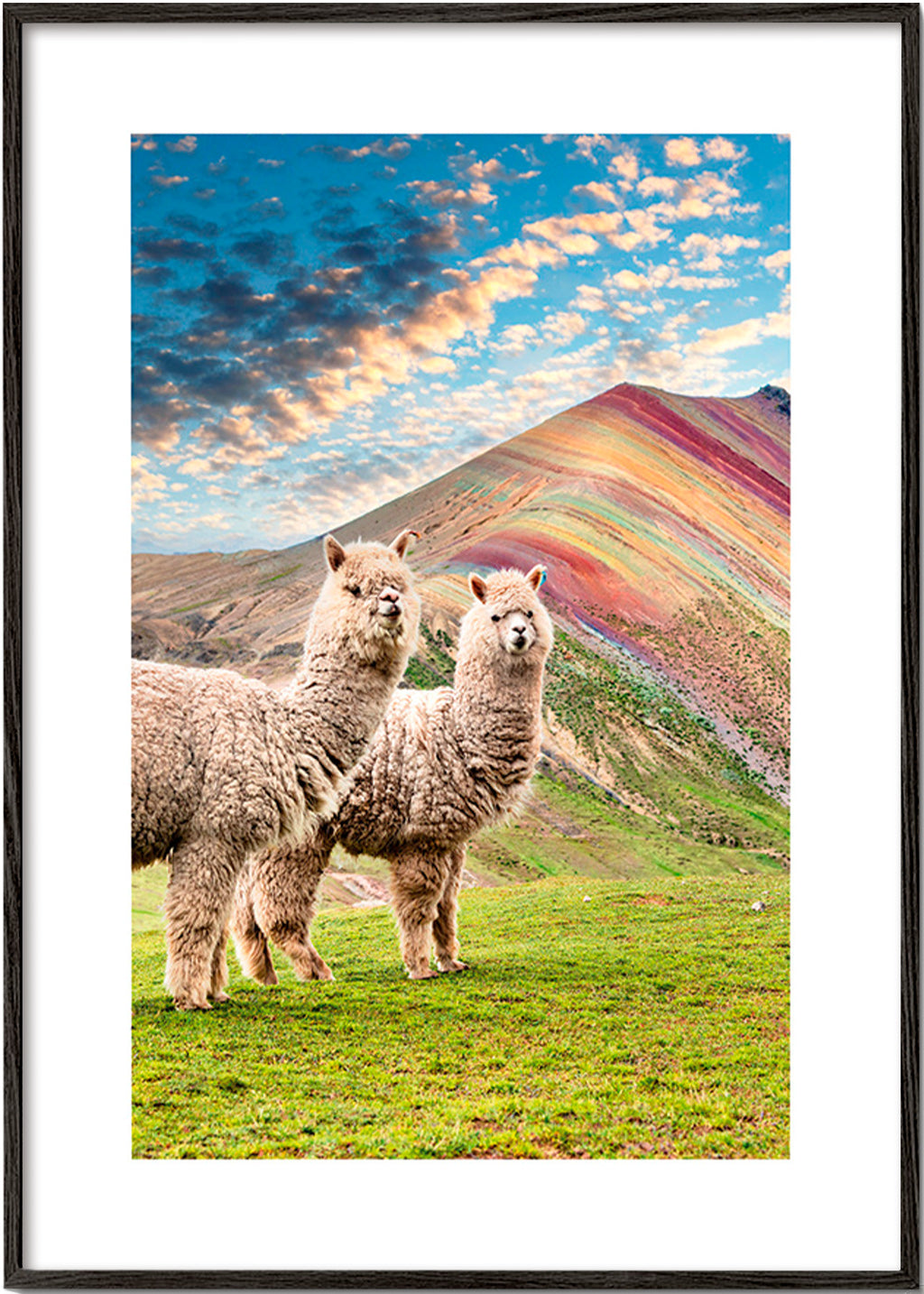 Artwork alpacas in rainbow mountain – Black Frame