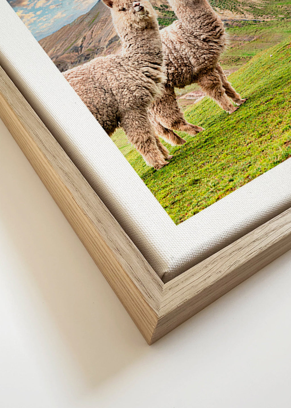Artwork alpacas in rainbow mountain – Canvas detail