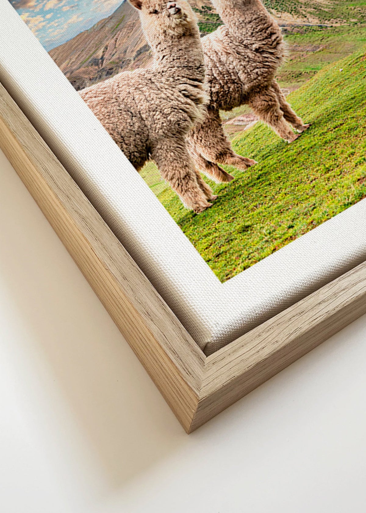 Artwork alpacas in rainbow mountain – Canvas detail