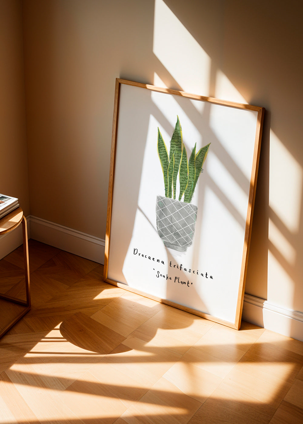 Illustrated Dracaena trifasciata - Snake Plant -Mother-in-law's tongue House plant