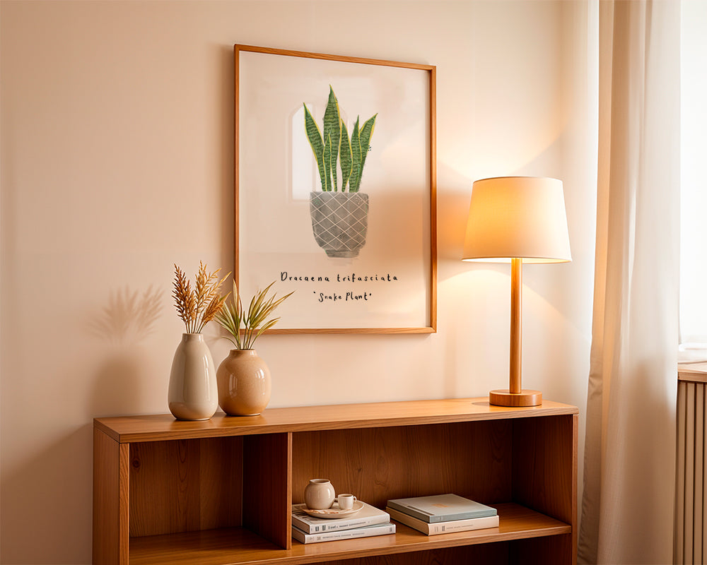 Illustrated Dracaena trifasciata - Snake Plant -Mother-in-law's tongue House plant