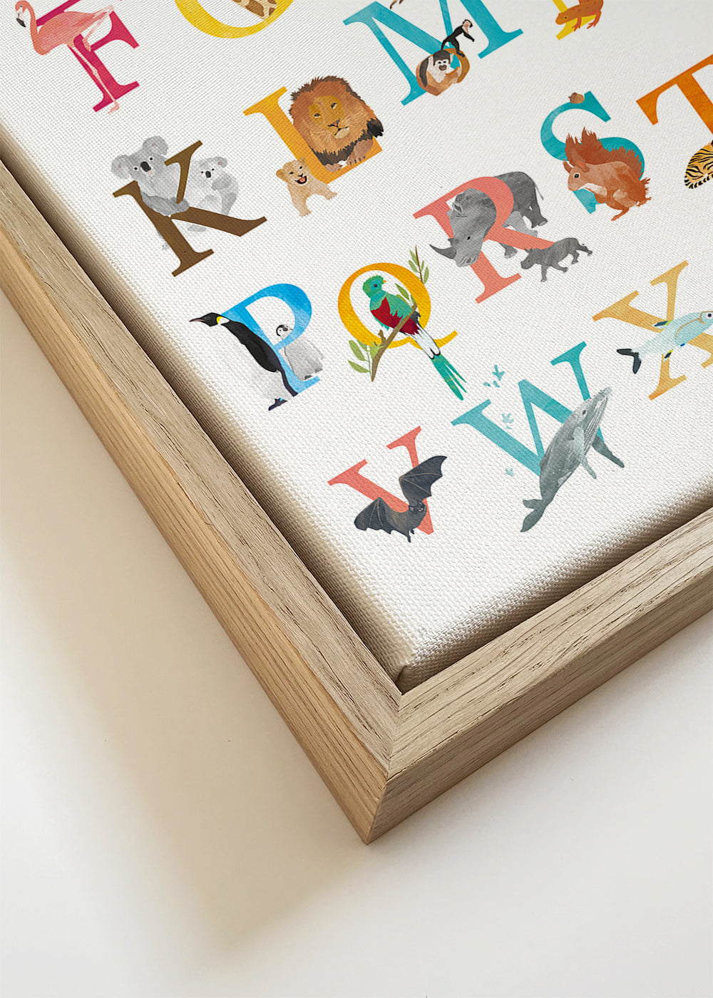 Kids animal alphabet